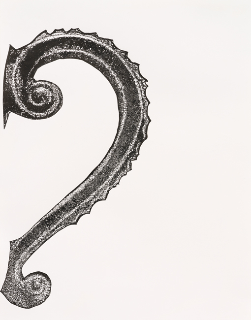 https://www.valeriaschneider.de:443/files/gimgs/th-1_HEIRLOOM_Ink_on_paper_38x29,7cm_2021_web.jpg