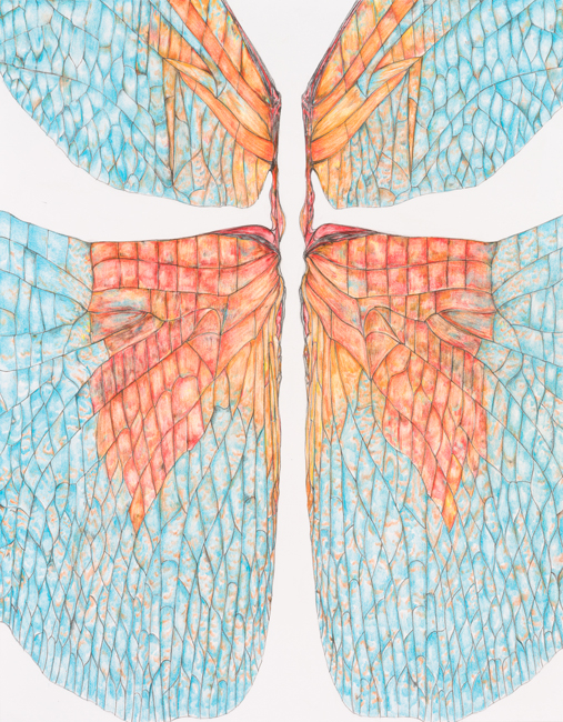 https://www.valeriaschneider.de:443/files/gimgs/th-1_DRAGONS_AND_DAMSELS_coloured_pencil_38x29,7cm_2024_web.jpg